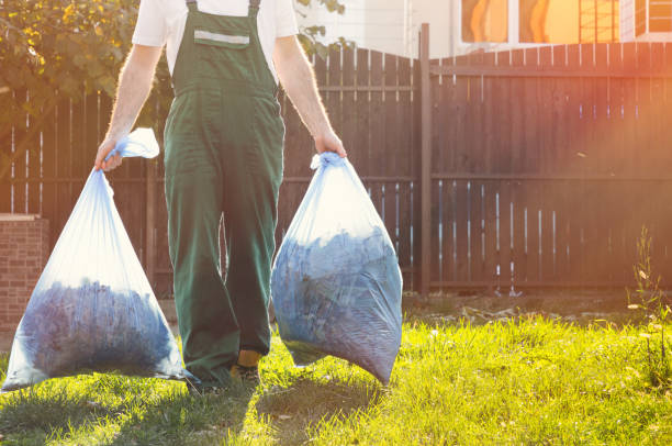 Best Junk Hauling Services  in Ladera Heights, CA